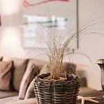 Boutique Monika Hotel 3*