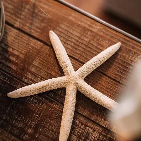 ホテル Boutique Monika