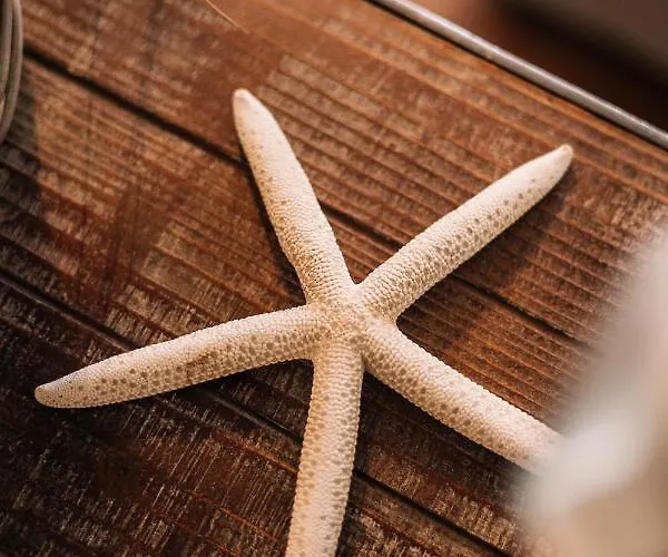 Otel Boutique Monika